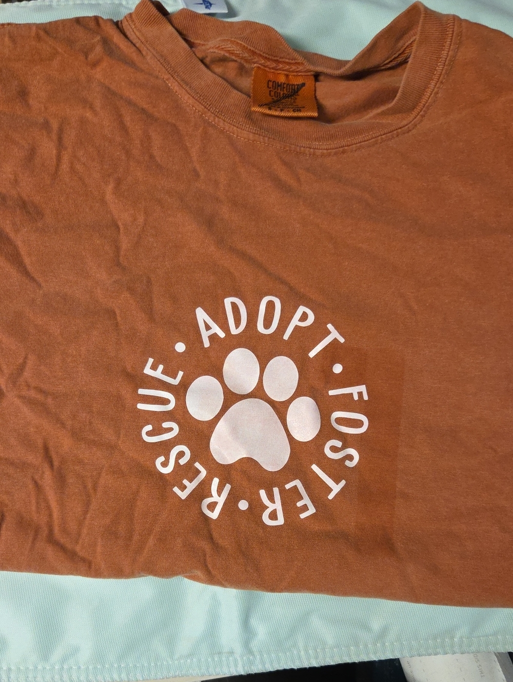 Comfort Colors Rust Tee with White Paw Rescue Graphic